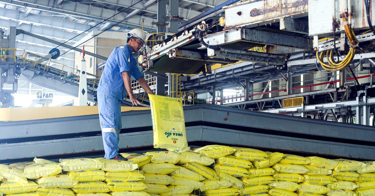 Chủ động nguồn cung để hạn chế tác động từ giá phân bón tăng