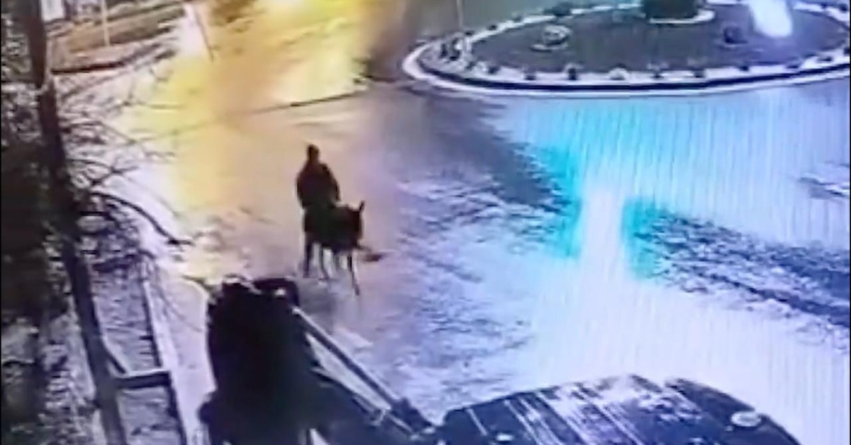 Vụ trộm vàng khó tin: Đột nhập bằng xe nâng, tẩu thoát bằng 'cỗ xe không thể tin nổi'