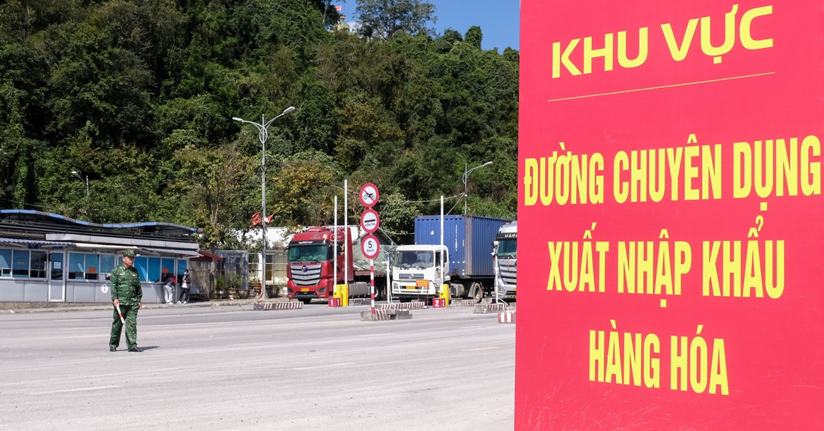 Bộ Y tế đề nghị chuẩn bị sẵn sàng các điều kiện để triển khai nghị định 46 về an toàn thực phẩm