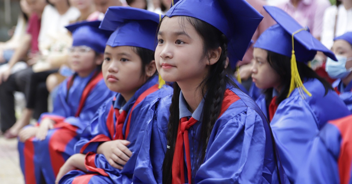 Sở Giáo dục TP.HCM giải đáp hàng loạt thắc mắc về tuyển sinh đầu cấp