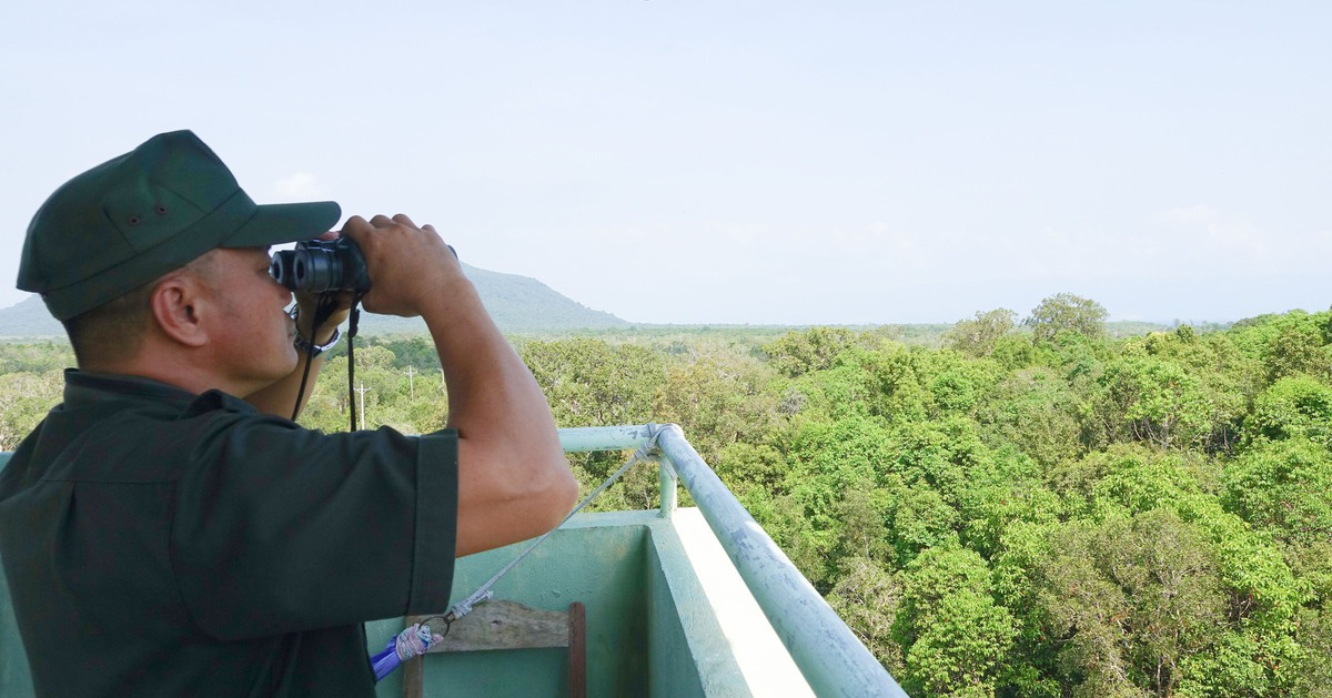 Hơn 9.500ha rừng ở An Giang có nguy cơ xảy ra cháy cao trong mùa khô 2026