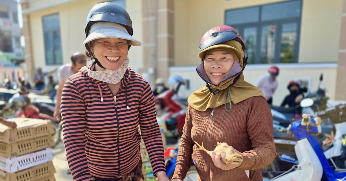 Người vùng lũ Bình Định bất ngờ vì được tặng gà giống kèm nhiều bao thức ăn, thuốc thú y