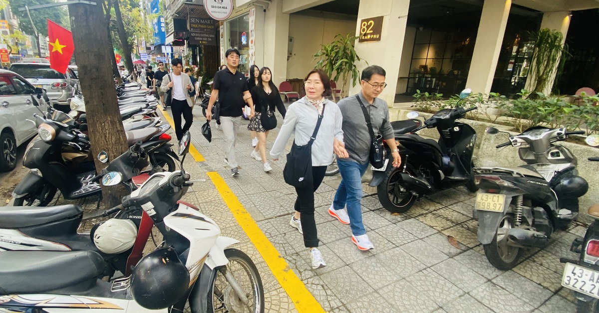 Đà Nẵng cấm buôn bán, để chậu cây cảnh trên vỉa hè