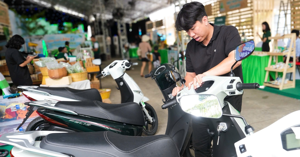 Thủ tướng: Sử dụng tiết kiệm xăng dầu, năng lượng, khuyến khích chuyển sang xe điện