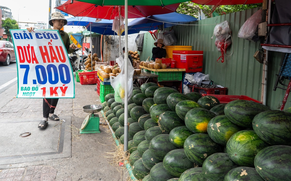 Cam sành, dưa hấu, thanh long, xoài... rớt giá thê thảm, điểm bán đổ thành đống