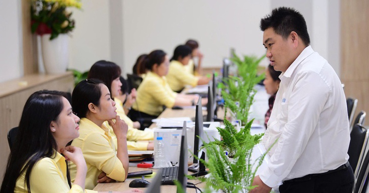 TP.HCM lên kế hoạch đào tạo cán bộ theo vị trí việc làm