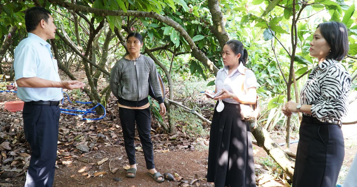 Chó nghi dại cắn bố con chủ nhà và 3 hàng xóm, Đắk Lắk hỏa tốc phòng chống bệnh dại