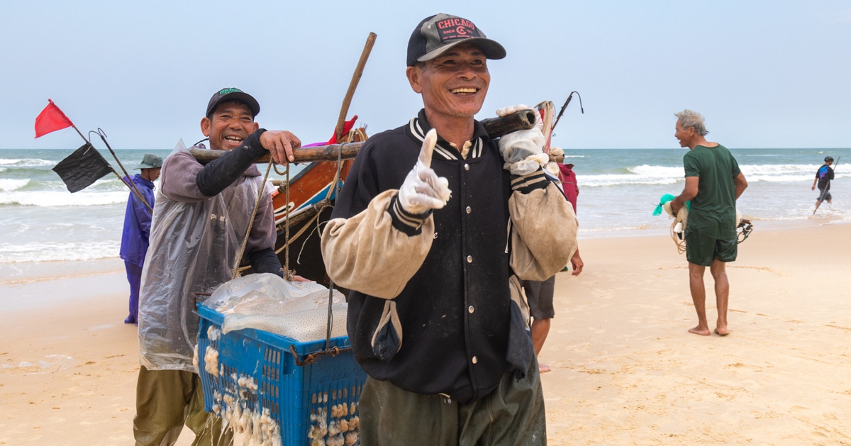 Cao điểm mùa khai thác sứa, ngư dân kiếm 1 - 2 triệu đồng ngày