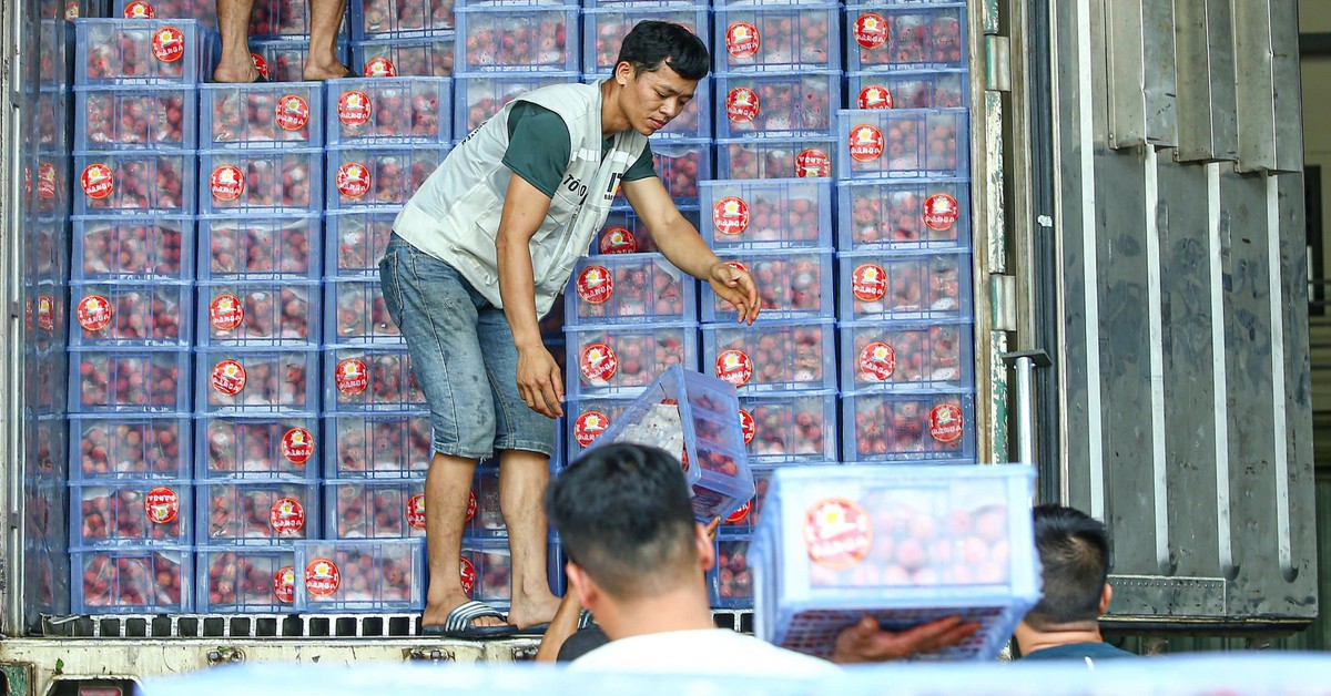 Chính phủ đồng ý kéo dài thời hạn tạm ngưng Nghị định 46