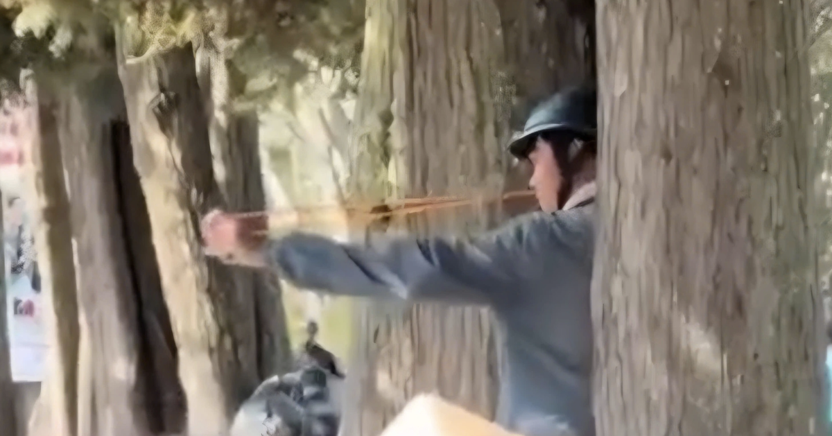 Công an tìm người bắn chim giữa phố Đà Lạt, giật điện thoại và có hành vi hành hung phóng viên