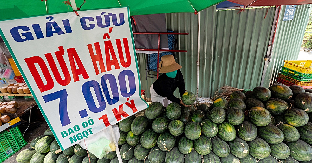 Giá trái cây rớt mạnh, nhiều nơi rao "giải cứu"