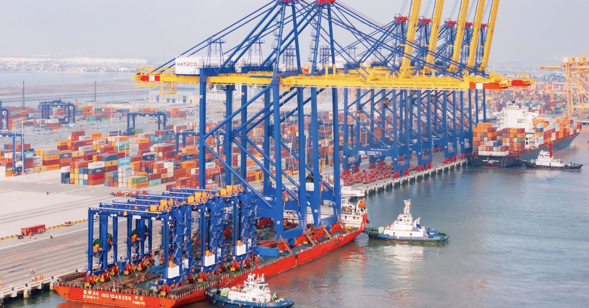 Nắm giữ 49% cổ phần cảng nước sâu tại Hải Phòng, 'ông lớn' Hà Lan tăng tốc đầu tư tại Việt Nam