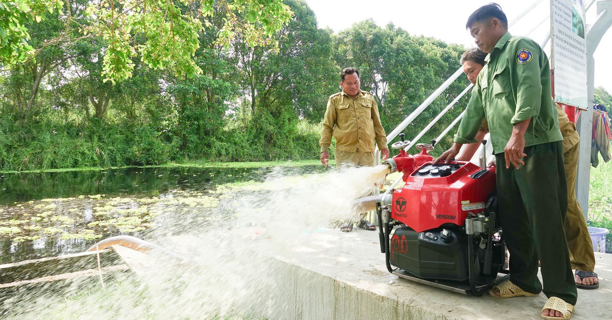 An Giang nỗ lực giữ màu xanh của rừng giữa mùa khô hạn