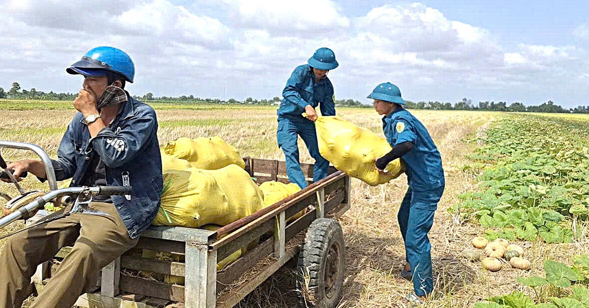 Tìm đầu ra suôn sẻ cho nông sản