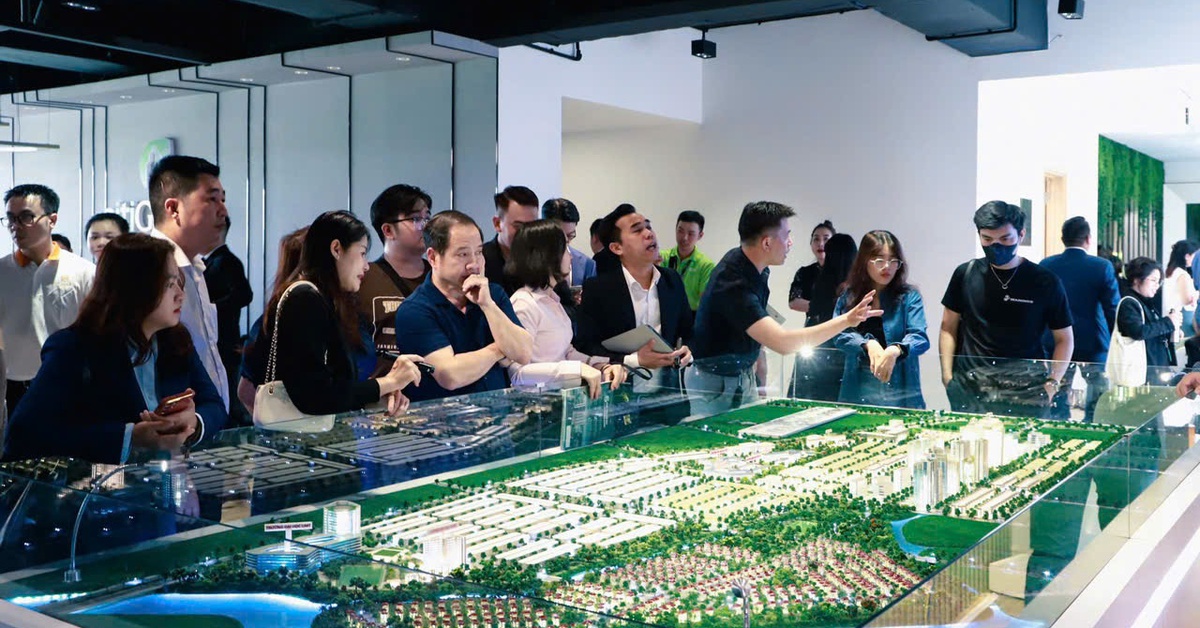 TP.HCM thông qua 361 khu đất thí điểm làm nhà ở thương mại