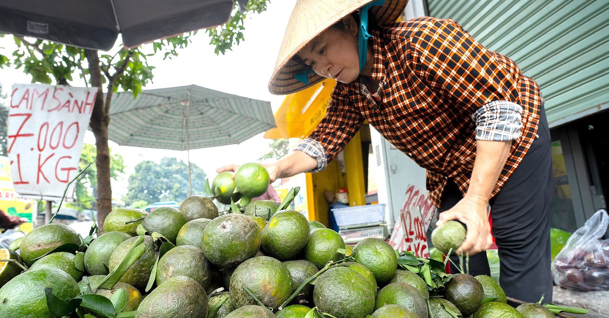 Không chạy theo sản lượng, tránh nguy cơ 'được mùa, mất giá' nông sản