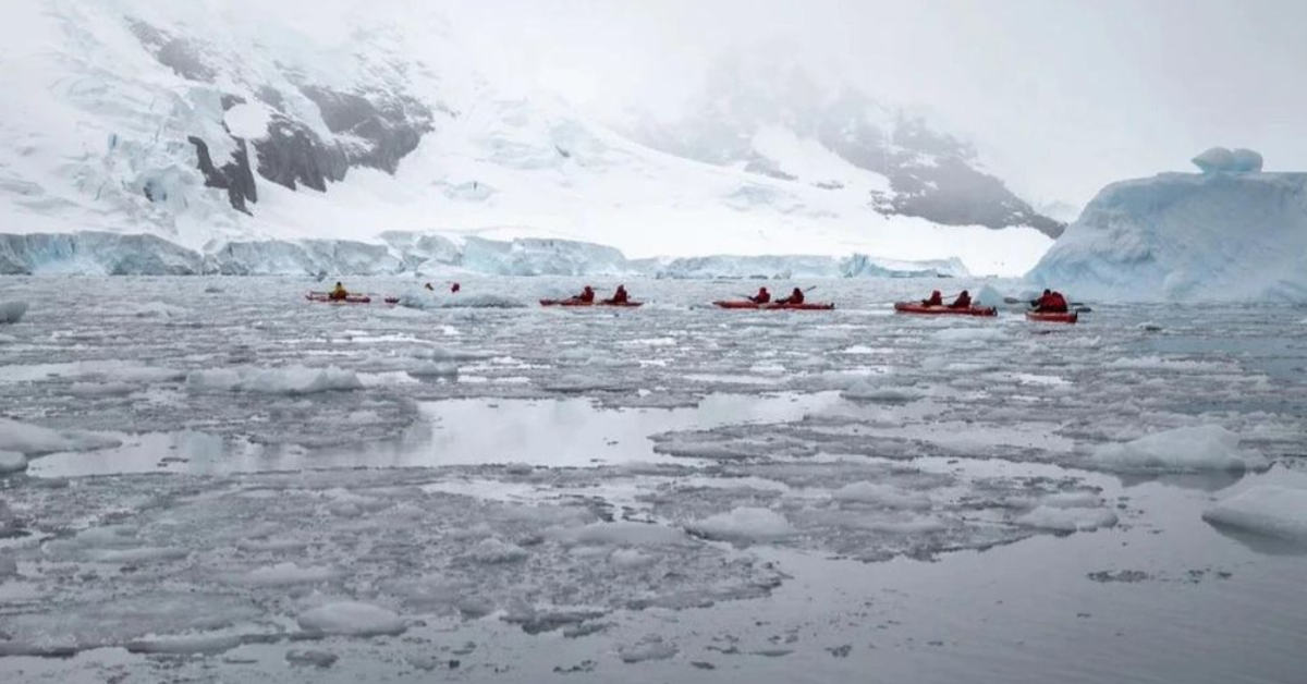Phát hiện vi sinh vật Nam Cực hít khí để sống, chịu được biên độ nhiệt lên tới 95 độ C