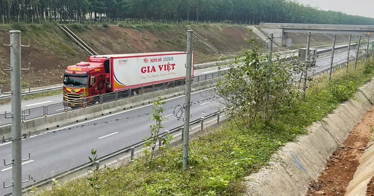 Hàng rào thép gai cao tốc Bắc - Nam bị trâu bò giẫm nát