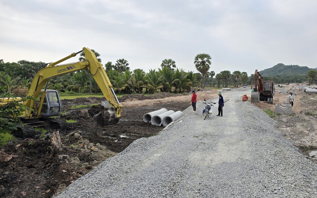 Báo động tình trạng xây dựng trái phép và trồng cây đón dự án đường kết nối cao tốc
