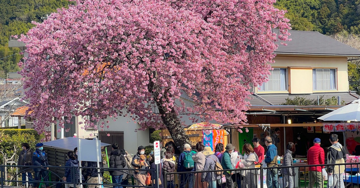 Nhật Bản tăng phí visa