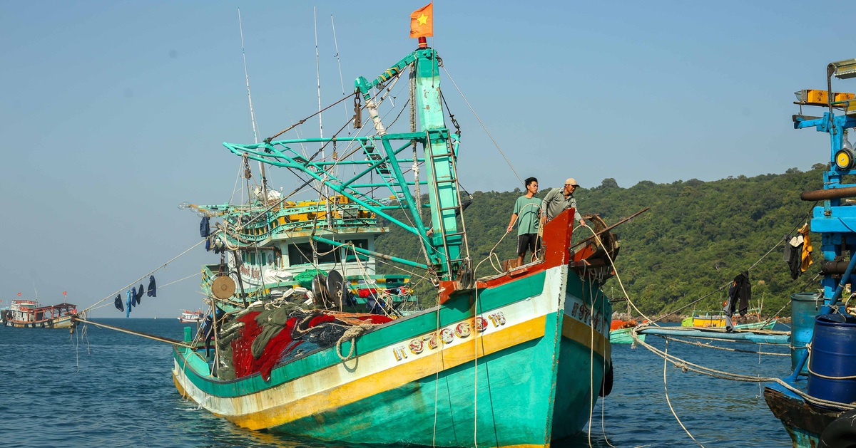 Đề xuất phạt tới 1 tỉ đồng nếu che giấu, giả mạo chứng cứ khai thác thủy sản bất hợp pháp
