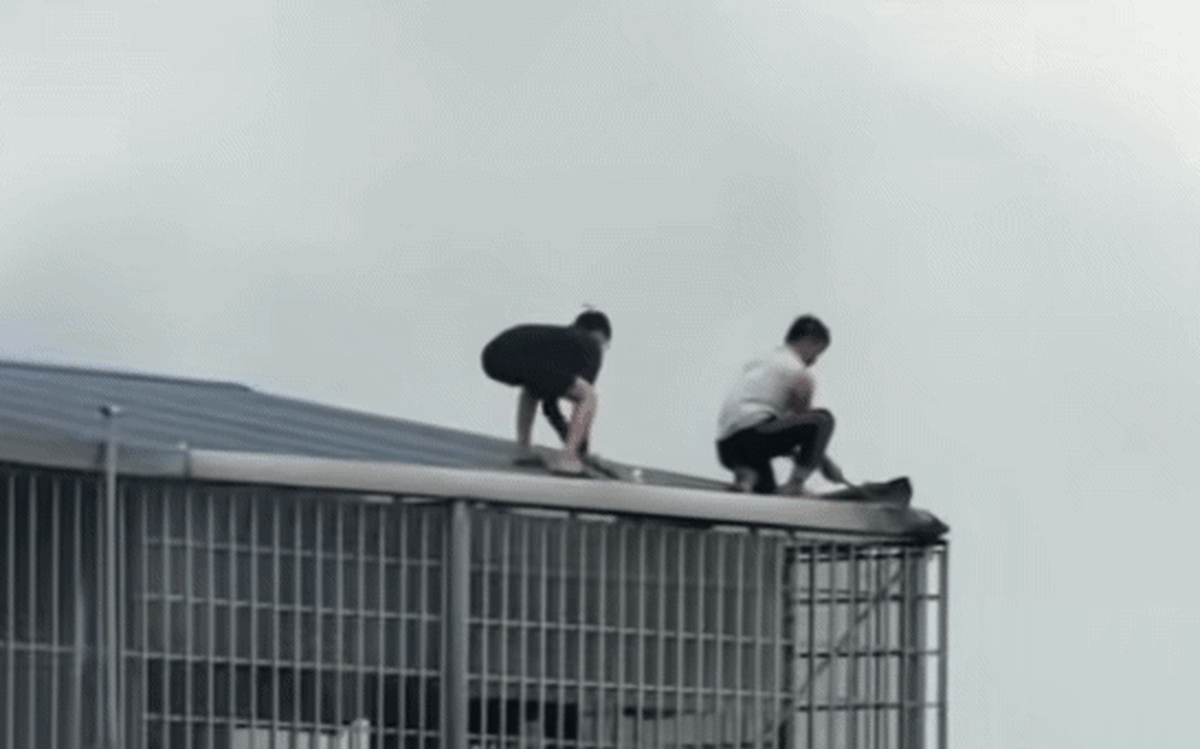 Cứu giúp người, đâu ai tính toán