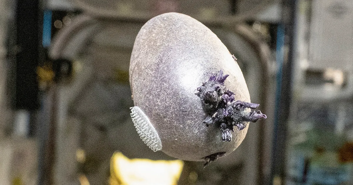 'Vật thể lạ màu tím' do phi hành gia NASA chụp được gây xôn xao