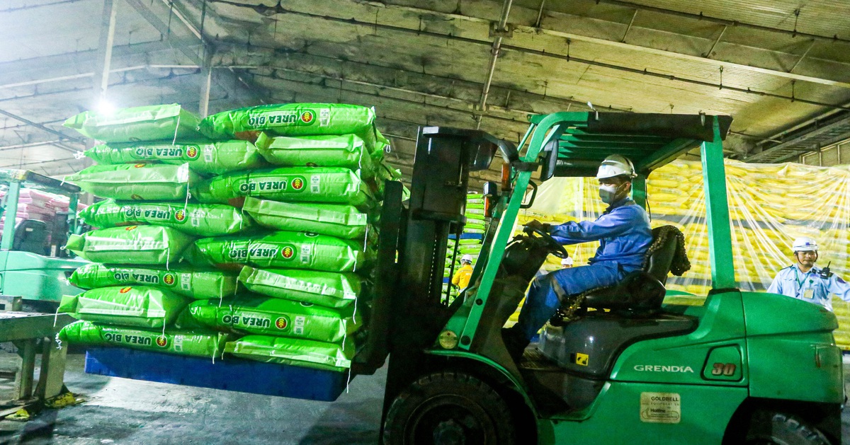 Đề nghị doanh nghiệp ưu tiên phân bón cho thị trường trong nước