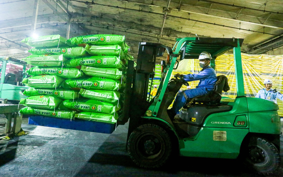 Đề nghị doanh nghiệp ưu tiên phân bón cho thị trường trong nước