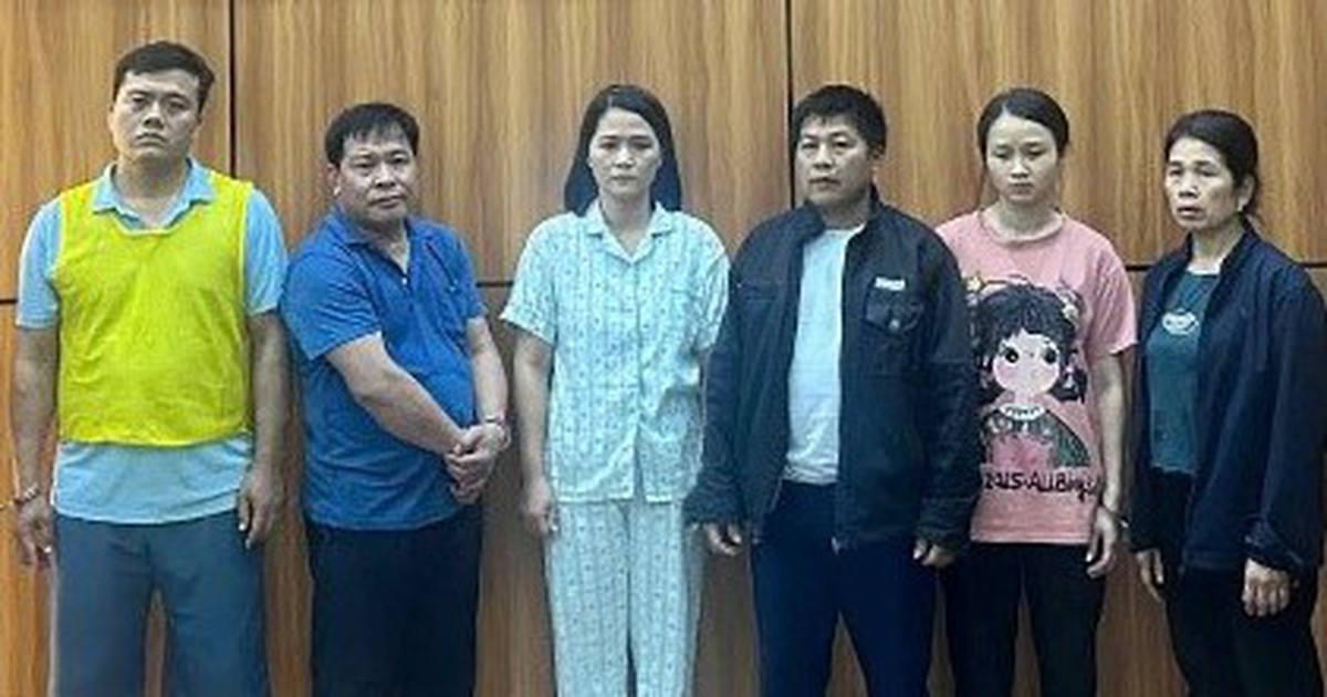 Khởi tố bị can vụ đường dây giết mổ, tiêu thụ gần 300 tấn heo bệnh vào chợ, bếp ăn trường học