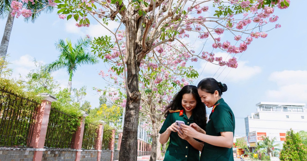 Sắc hồng kèn hồng tô thắm doanh trại