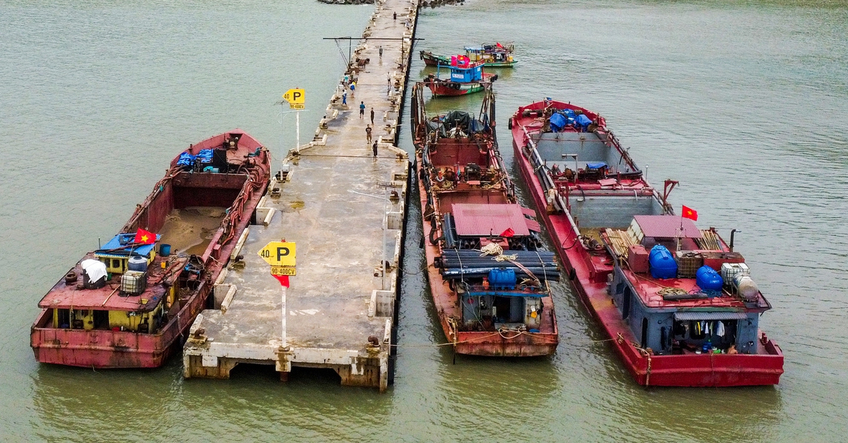 Đề xuất tổ hợp dự án khoảng 10 tỉ USD tại vùng ven biển Cà Mau