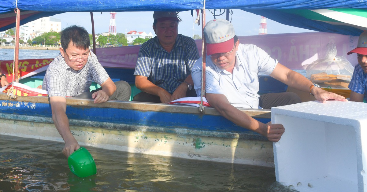 Thả 1 triệu con tôm, cua giống xuống đầm Đông Hồ