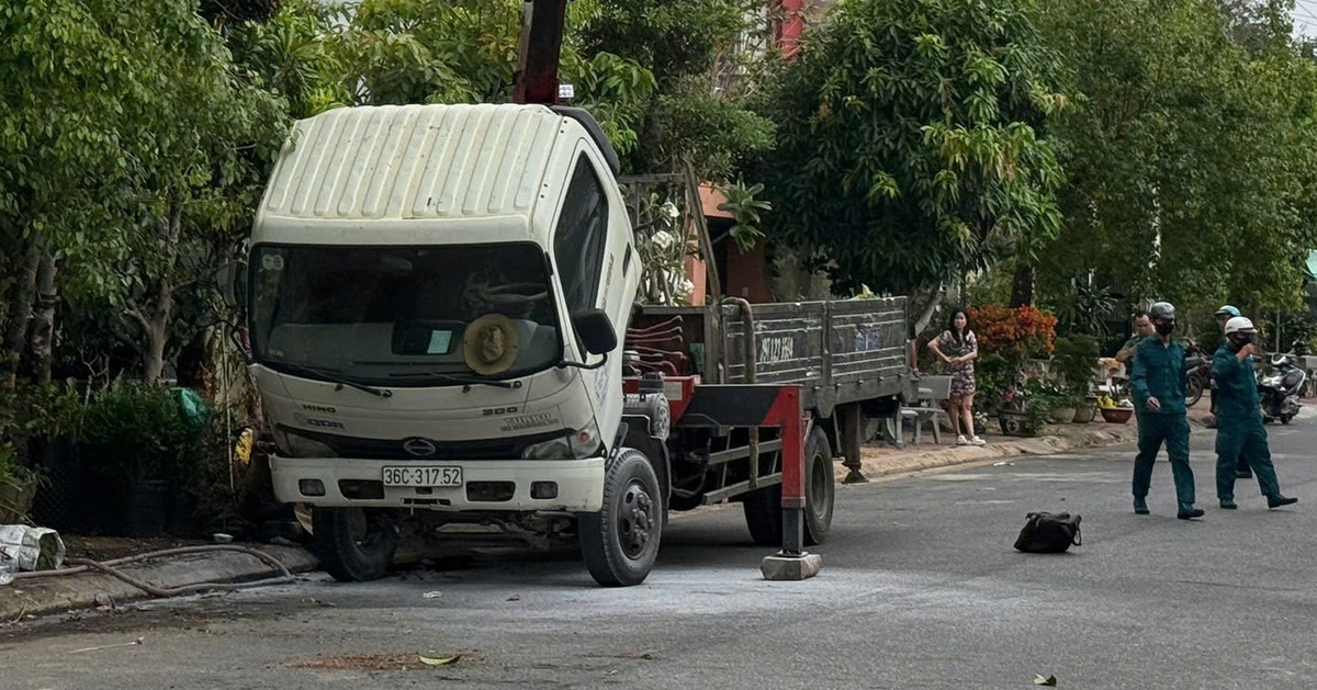 Cẩu cây cảnh chạm vào đường dây điện, tài xế bị điện giật chết
