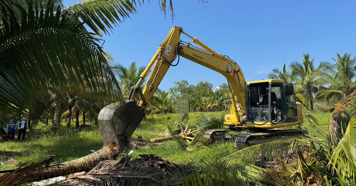 Cưỡng chế thu hồi gần 1ha đất ở Phú Quốc