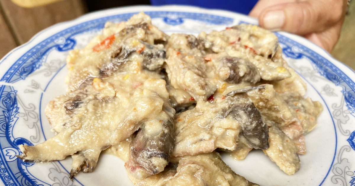 Lãnh đạo Đà Nẵng đến tận nhà dân khuyên bỏ món cá ủ chua