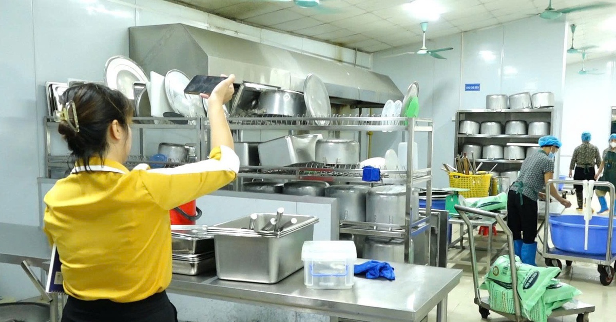 Hà Nội rà soát bếp ăn bán trú sau lo ngại thịt heo bệnh