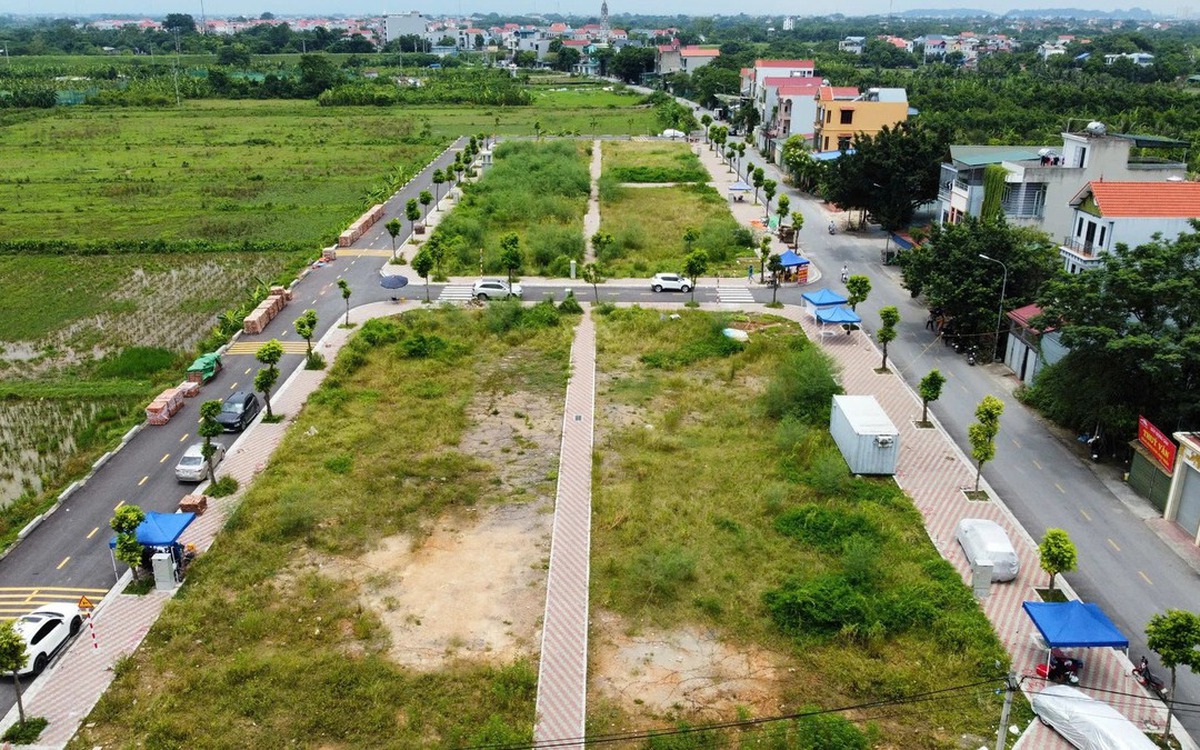 Lãng phí đất đai có thể bị khởi tố hình sự