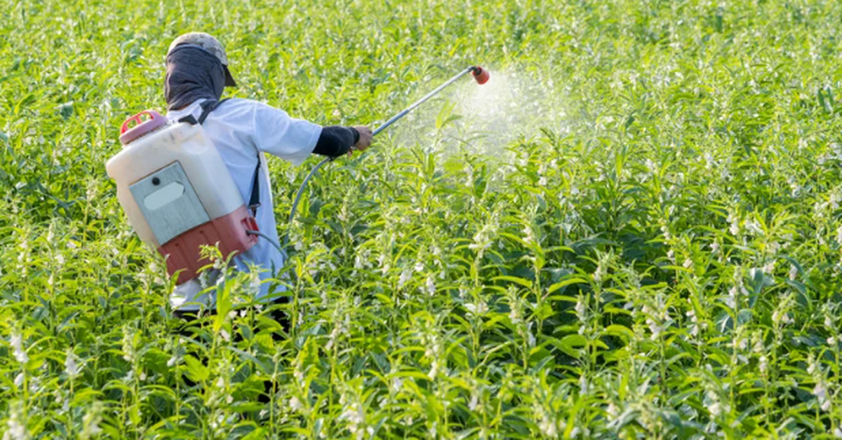 Nghiên cứu chấn động: Thuốc diệt nấm có thể tàn phá sức khỏe 20 thế hệ