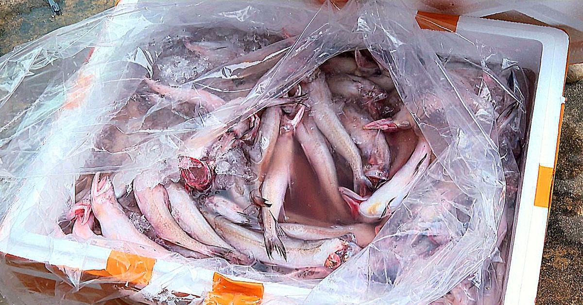 Bộ Nông nghiệp và Môi trường trả lời cử tri TP.HCM về giải pháp ngăn thực phẩm bẩn, dùng chất cấm