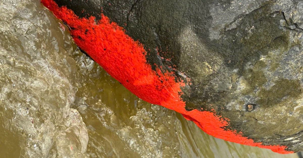 Độc lạ tảng đá nổi màu đỏ rực giống 'nở hoa' ở Đà Nẵng