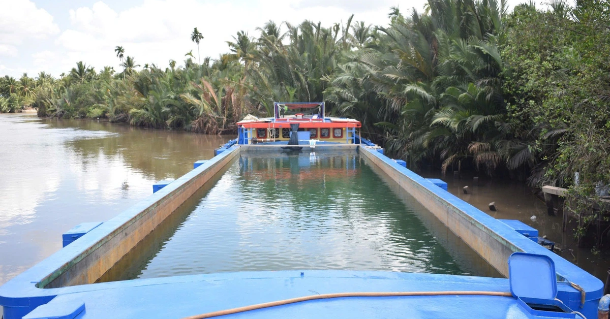 Vĩnh Long chuẩn bị gần 40.000m³ nước dự phòng để ứng phó xâm nhập mặn