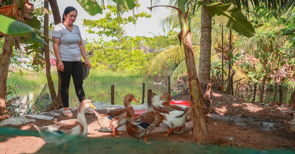 ‘Đổi đời’ nhờ ‘Khởi đầu mới’