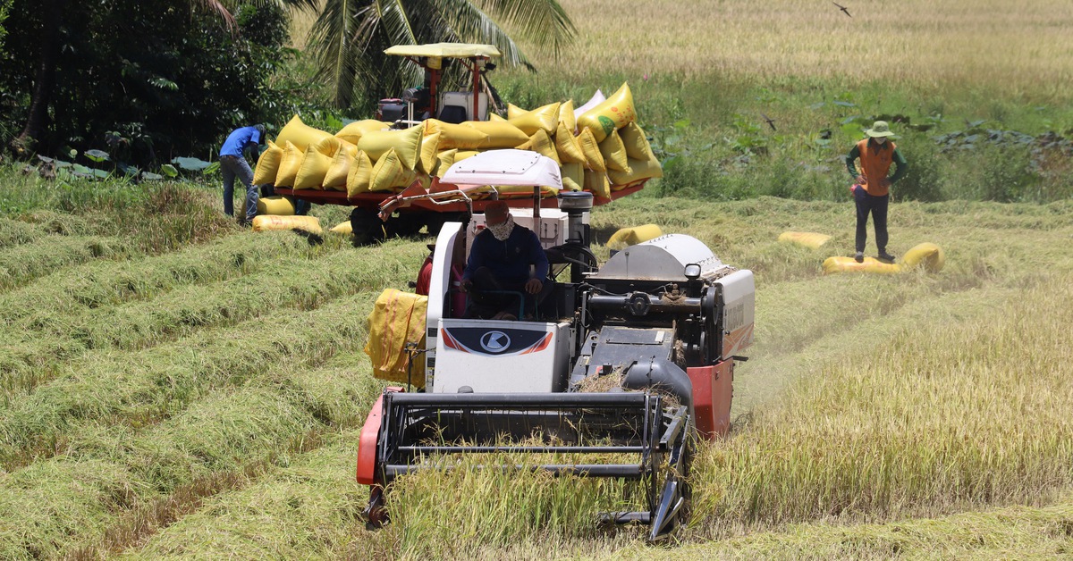 Bộ Nông nghiệp và Môi trường trả lời cử tri về giải pháp kiểm soát giá vật tư nông nghiệp