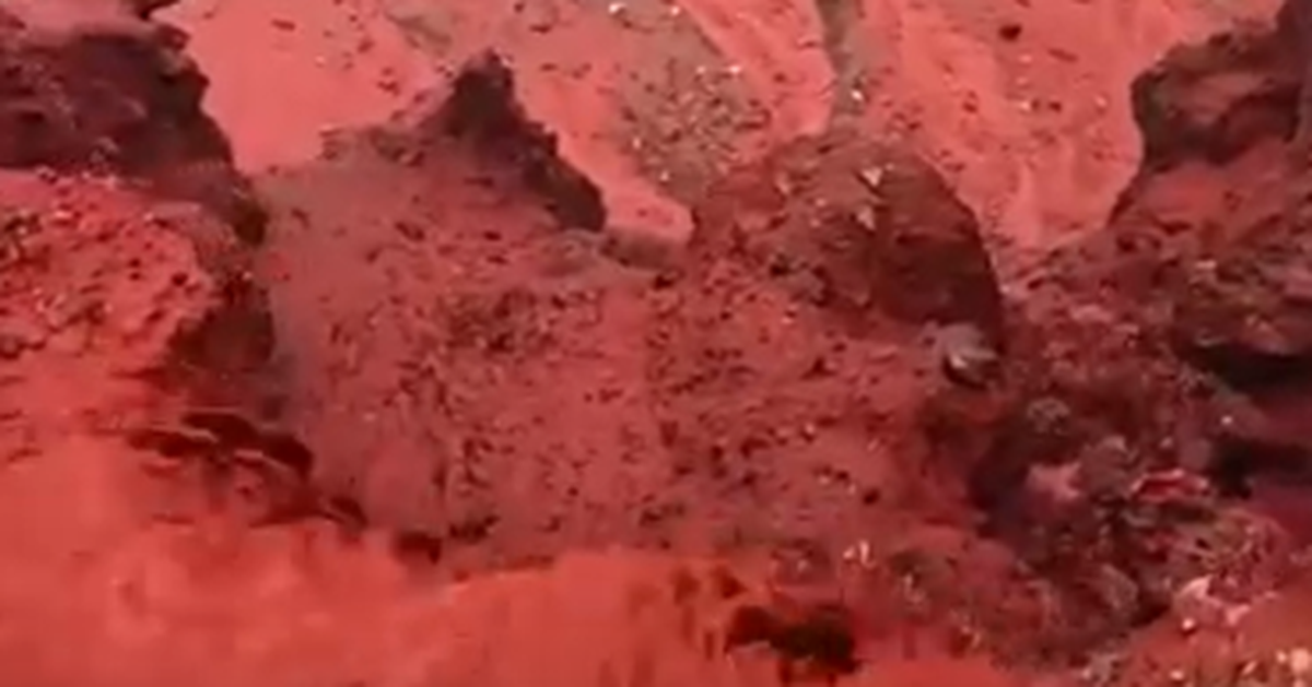 Anh vừa nóng kỷ lục đầu năm, vừa có tuyết và 'mưa máu'