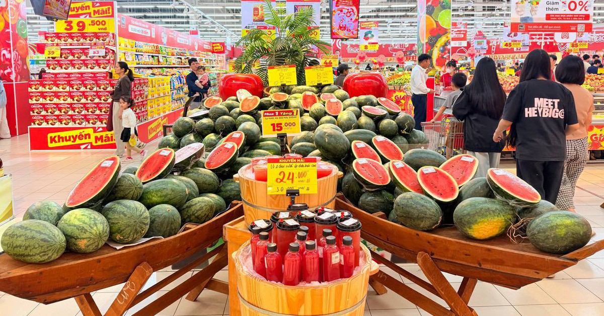 Hàng ngàn héc ta dưa hấu vào vụ thu hoạch rộ, Gia Lai nhờ các tỉnh hỗ trợ tiêu thụ