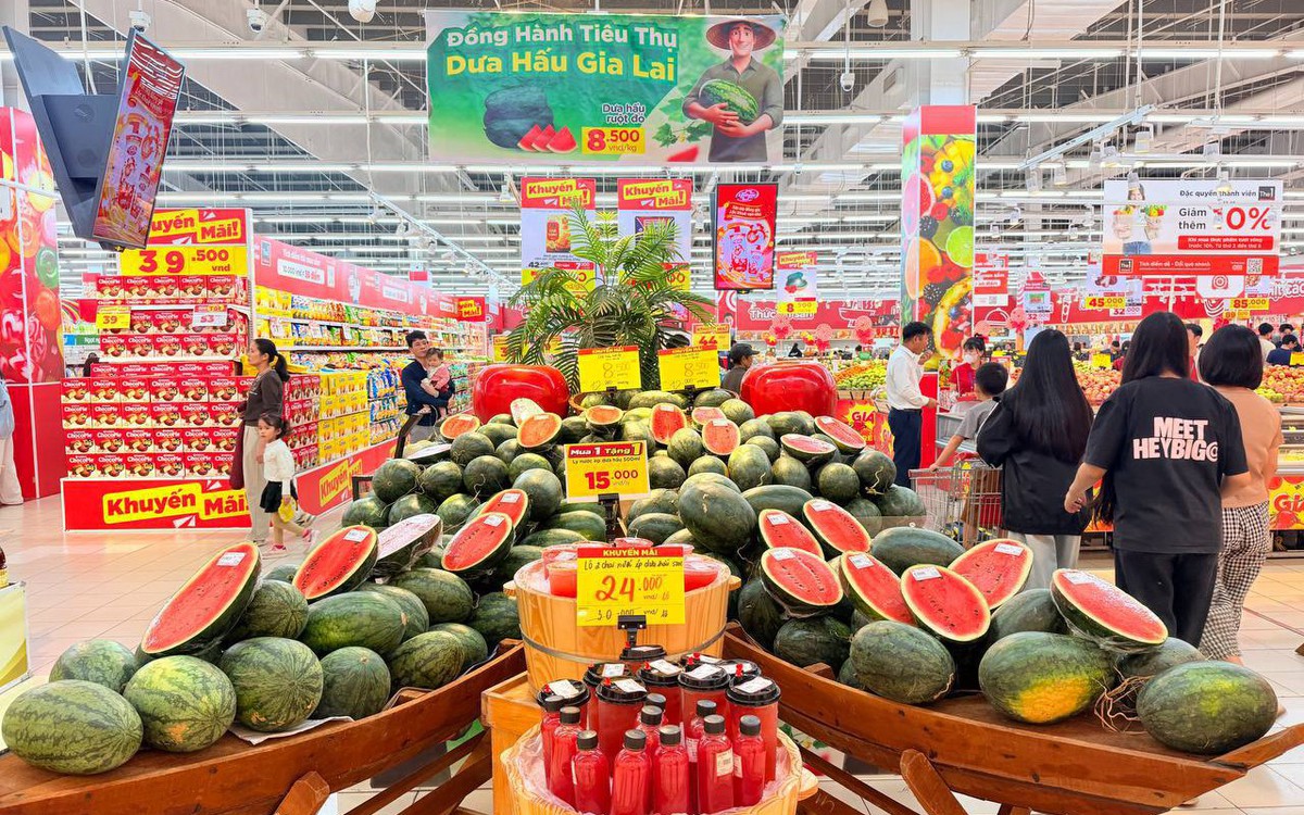 Hàng ngàn héc ta dưa hấu vào vụ thu hoạch rộ, Gia Lai nhờ các tỉnh hỗ trợ tiêu thụ