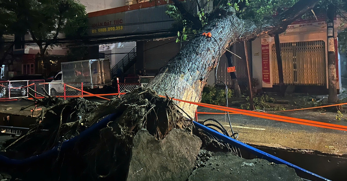 Đang ngủ nghe tiếng nổ, cây rất to bật gốc làm cả tuyến đường trung tâm Đà Nẵng mất điện