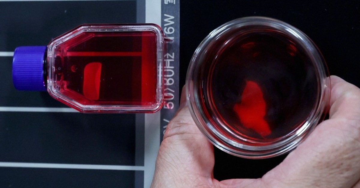 Nhật Bản lần đầu cho phép thương mại hóa thuốc từ tế bào iPS