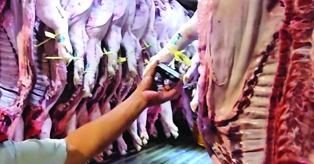 Bộ Y tế kiểm tra đột xuất bếp ăn tập thể tại Hà Nội và Ninh Bình